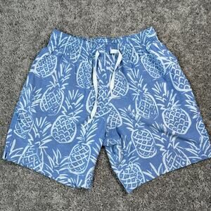 Chubbies Swim Trunks Mens XS 5.5" Inseam Beach Surf Blue Pineapples Lined